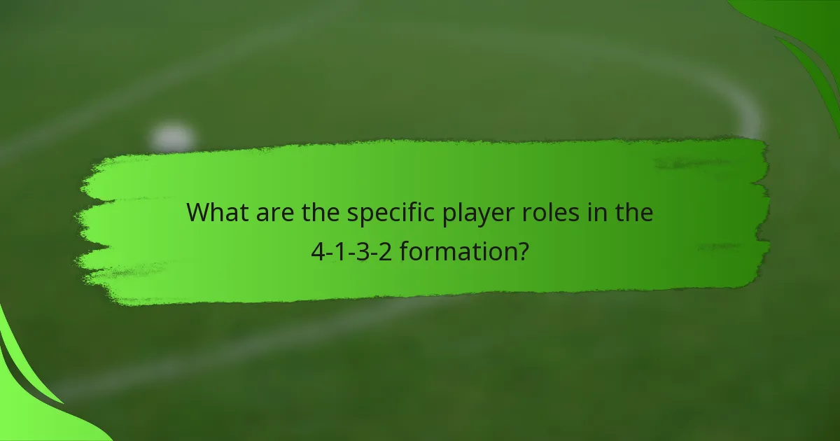 What are the specific player roles in the 4-1-3-2 formation?